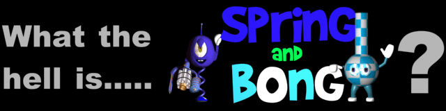 What is Spring and Bong